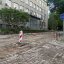 Знайдену під час ремонту дороги історичну бруківку використають на двох локаціях Львова