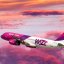 У Wizz Air планують підняти ціни на квитки через збитки на тлі пандемії