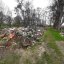 На Львівщині виявили одразу кілька стихійних сміттєзвалищ (фото)