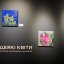 У Львові відкрили інклюзивну виставку «Деякі квіти» у ZAG Studio
