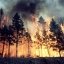 В Україні запустили систему раннього виявлення пожеж