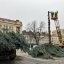 У Львові демонтували головну міську ялинку (відео)