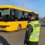Операція "Перевізник": у поліції розповіли, які норми найчастіше порушують перевізники пасажирів