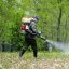 У Львові впродовж трьох днів оброблятимуть парки від кліщів