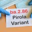 В Україні зафіксували випадки нового субваріанту коронавірусу – Pirola