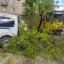 Буревій у Львові повалив дерево на вулиці Мельника: пошкоджено авто і перекрито рух трамваїв