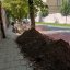 У Львові на Кривоноса під час робіт пошкодили коріння дерев
