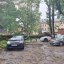 Наслідки буревію у Львові: у місті повалило дерева, світлофор та зірвало дахи