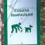 Де у Львові облаштують станції прибирання за собаками