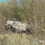 На Львівщині внаслідок ДТП з перекиданням автомобіля постраждала 51-річна жінка