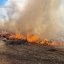 Майже сотню пожеж через спалення сухостою гасили учора на Львівщині