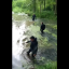 На Львівщині водолази шукали зниклу 71-річну жінку