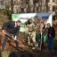 У Львові висадили “мільярдне дерево” в межах акції “Зелена країна”