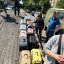 Сім’ю з 14 котами прихистили після ракетного удару по Львову