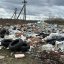 У Львові на території заповідника утворилося сміттєзвалище