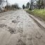Болото та яма на кожному кроці: львів’яни показали, як виглядає дорога на вулиці Пимоненка