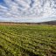 У Мінагрополітики підрахували вартість гектара української землі
