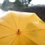 парасоля
