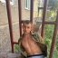 Спецназ поліції затримав чоловіка, який стріляв у квартирі багатоповерхівки у Львові