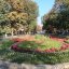 клумба на площі Марійській
