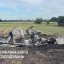 В авіакатастрофі на Житомирщині загинули троє українських пілотів
