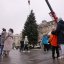 В центрі Львова встановили головну різдвяну ялинку