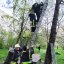 У Дрогобичі рятувальники зняли з дерева хлопчика, який поліз за літачком і застряг