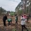На всій території Львівщини висадили «Ліс єднання» для допомоги ЗСУ (фоторепортаж)