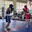 У Миколаєві завершився V Ювілейний Міжнародний турнір з боксу «Кубок Галичини»