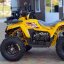 Квадроцикл Shark