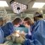 Майже сотня трансплантацій: львівські хірурги за рік провели рекордну кількість пересадок органів