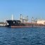 З портів Одеси відправився другий караван зі 170 тоннами зерна