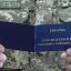 Пільги для ветеранів: чому це є проблемою для держави та як їх замінити
