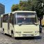 У Львові для двох автобусних маршрутів не знайшли перевізника