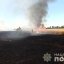 На Запоріжжі внаслідок обстрілу росіян згоріло 70 гектарів пшениці
