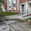 У Львові через вітер падають дерева — перелік адрес