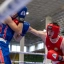 Львівщина приймає чемпіонат Збройних сил України  з боксу.