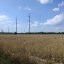 Гаражно-будівельний кооператив поверне ділянку у Рясне-Руському у власність громади