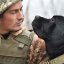 Собаки-ветерани: у Львові проведуть парад фронтових собак