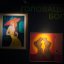 У Zenyk Art Gallery показали роботи 30 українських митців із Канади