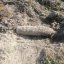 У полі під Львовом натрапили на застарілий боєприпас