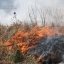За добу на Львівщині спалили майже гектар сухої трави: де найбільше порушників