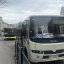 У Львові в останні вихідні травня до Шевченківського гаю можна буде доїхати автобусом