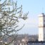 Заморозки та туман вранці: прогноз погоди на Львівщині на 28 квітня