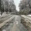 У Львові на трьох вулицях ускладнений рух через падіння дерев: адреси