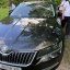 33-річний водій Škoda у Львові збив поліцейського та втік