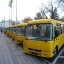 Львівщина закупила 126 шкільних автобусів на понад 300 млн грн