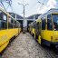У Львові весь електротранспорт виїхав на маршрути