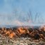 Рятувальники вчергове закликають не палити сухостій