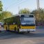 Автобуси №14 у Львові без кондиціонерів: перевізника оштрафують